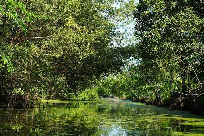 Southern Forest Tour – Explore Hau Giang Nature - Walking the narrow forest tracks
