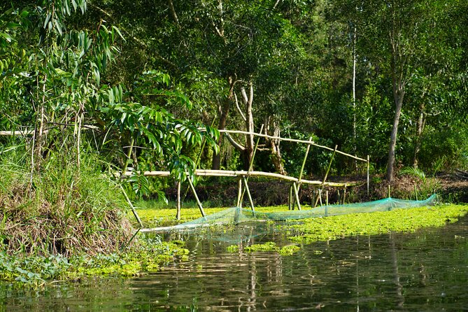 Southern Forest Tour – Explore Hau Giang Nature - How the five-hour schedule works