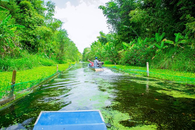 Southern Forest Tour – Explore Hau Giang Nature - Nga Bay and the seven waterways