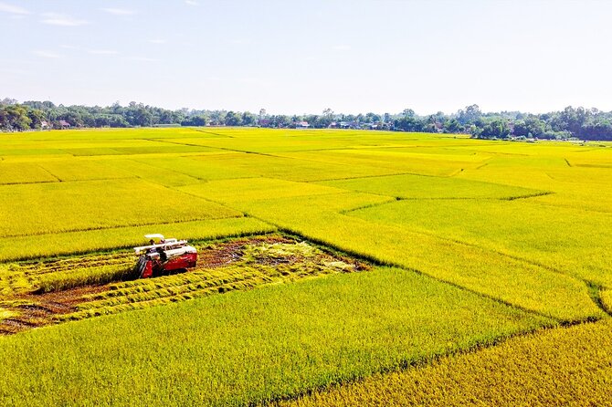 Standard 1 Day Cu Chi Tunnels & Mekong Delta - Cu Chi Tunnels: a battlefield beneath quiet fields