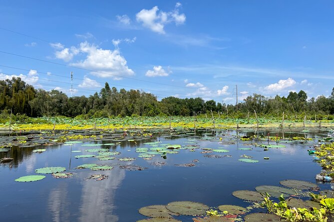 Tan Lap Floating Village Authentic Mekong Delta Nature Tour - Lunch brings the nature visit back to local food