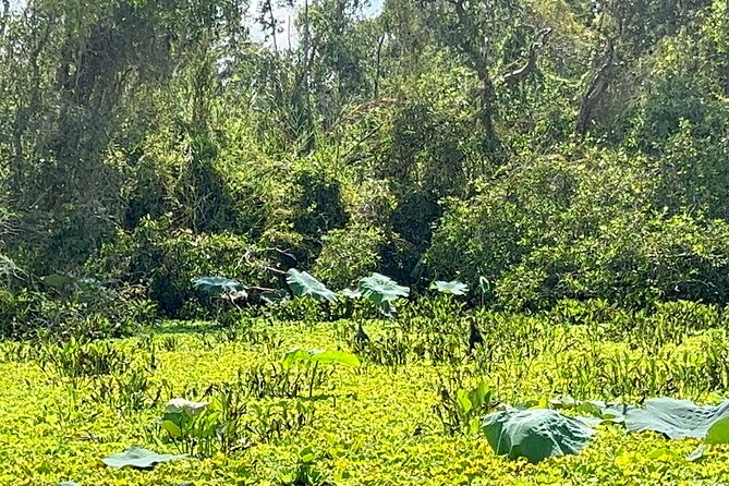 Tan Lap Floating Village Authentic Mekong Delta Nature Tour - Arriving at Tan Lap around 11:00 AM