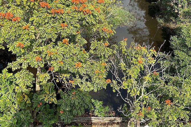 Tour for Nature lover- Lung Ngoc Hoang Nature Reserve in Can Tho - Why Lung Ngoc Hoang is worth the ride from Can Tho