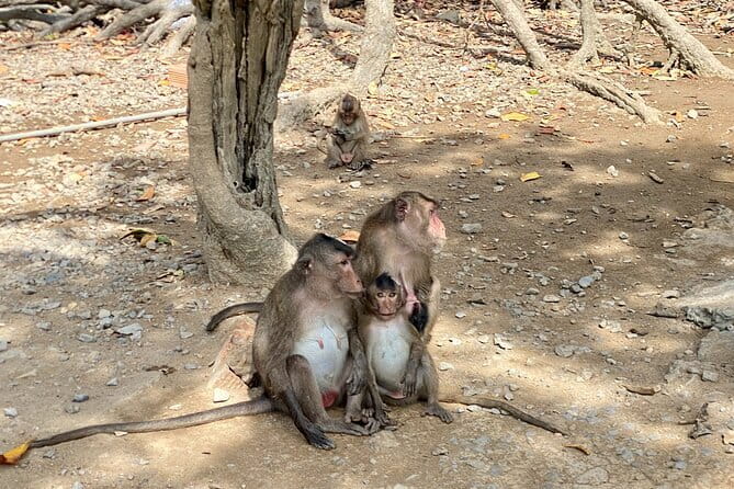 UNESCO Listed Can Gio Mangrove and Monkey Island trek - Leaving District 1 for the ferry