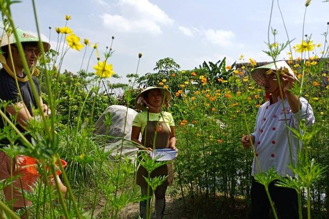 Unique farm to Table cooking class in Saigon - Who should book this class