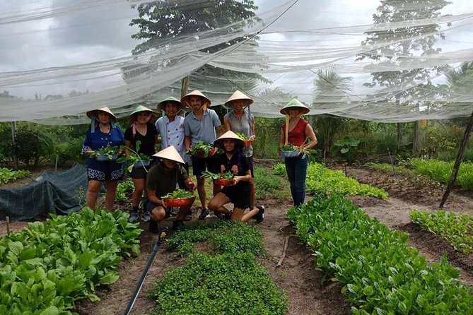 Unique farm to Table cooking class in Saigon - The long ride from Ho Chi Minh City