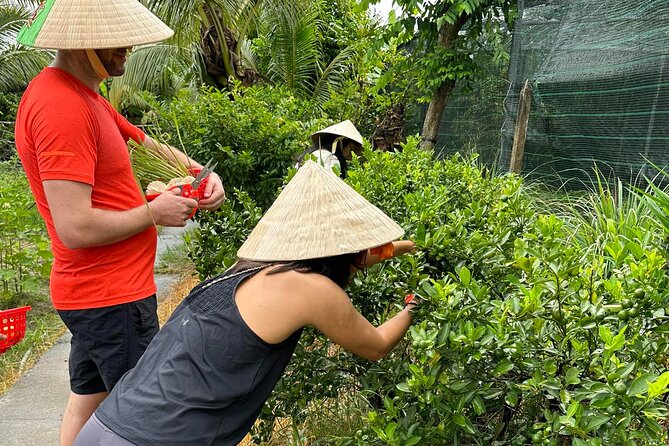 Unique Farm to Table Cooking Class with Top Chef in Vietnam - The teaching style and group size