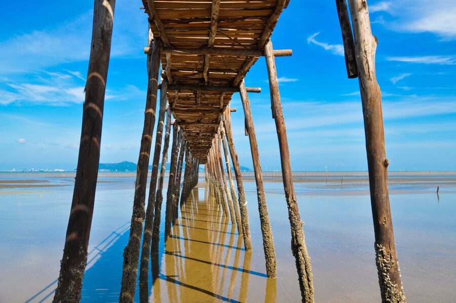 Vam Sat Mangrove Forest Private Tour from Ho Chi Minh City - Is $139 per person fair?