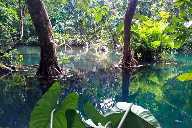 Vam Sat Mangrove Forest - VIP Private Tour - Monkeys, crocodiles, and family appeal