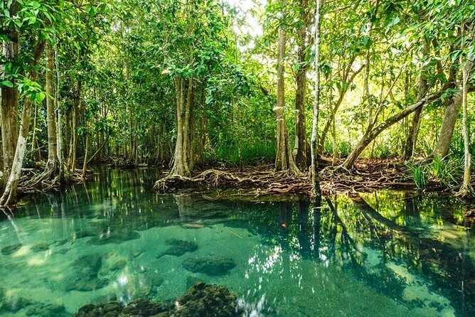 Vam Sat Mangrove Forest - VIP Private Tour - The guides can make or break the day