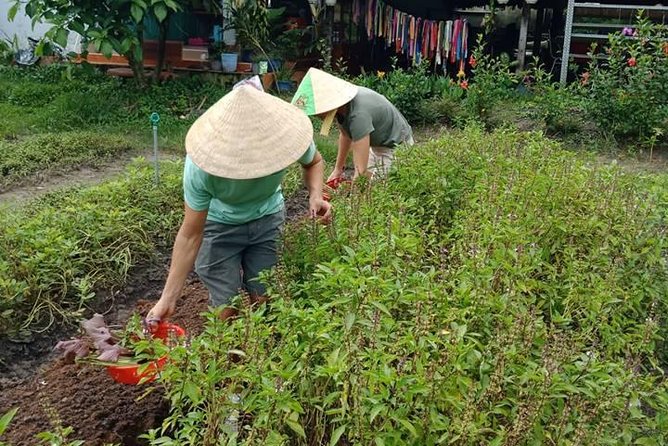 Vietnamese Cooking Class and Cu Chi Tunnels Tour from Ho Chi Minh City - What the $81 price really covers